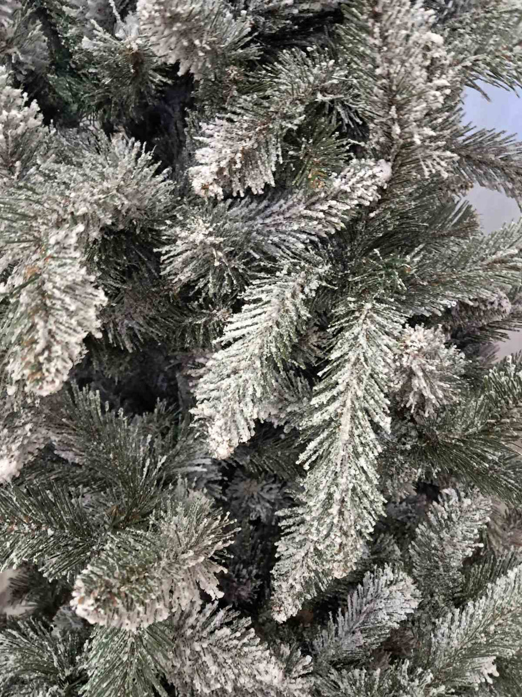 PREMIUM JELKE - BELA