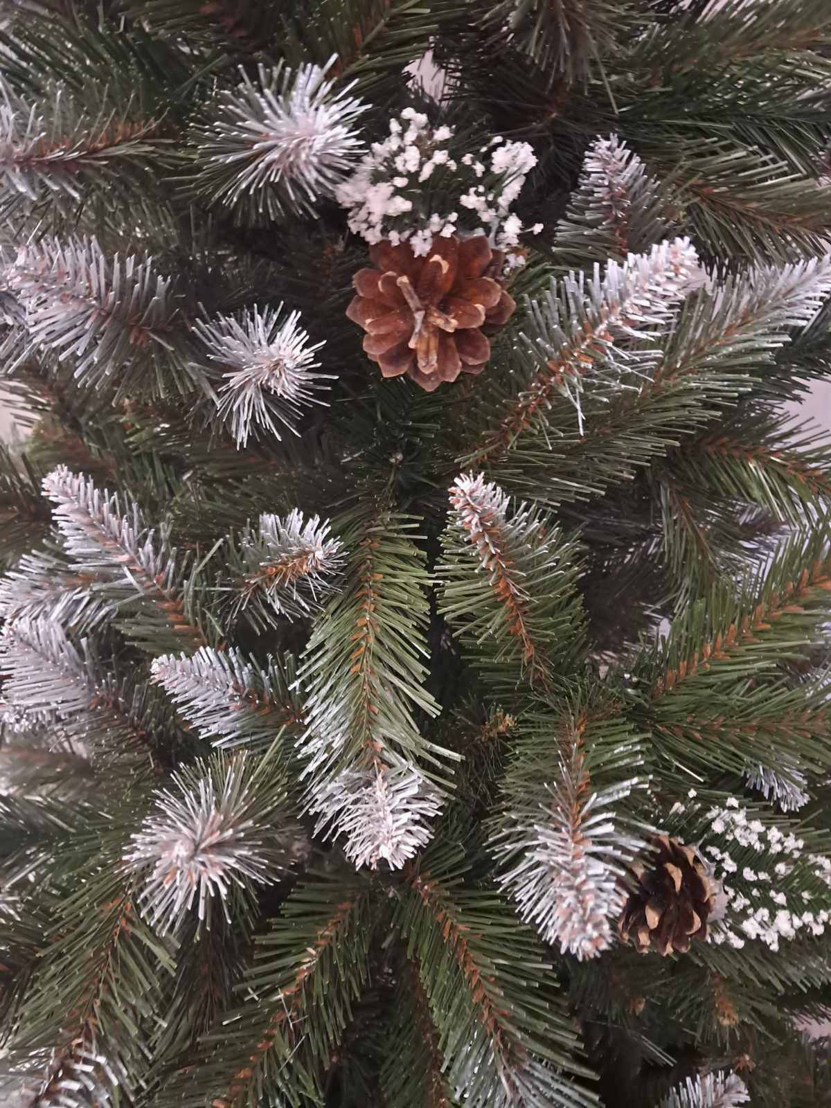 PREMIUM JELKE - BELI VRHOVI