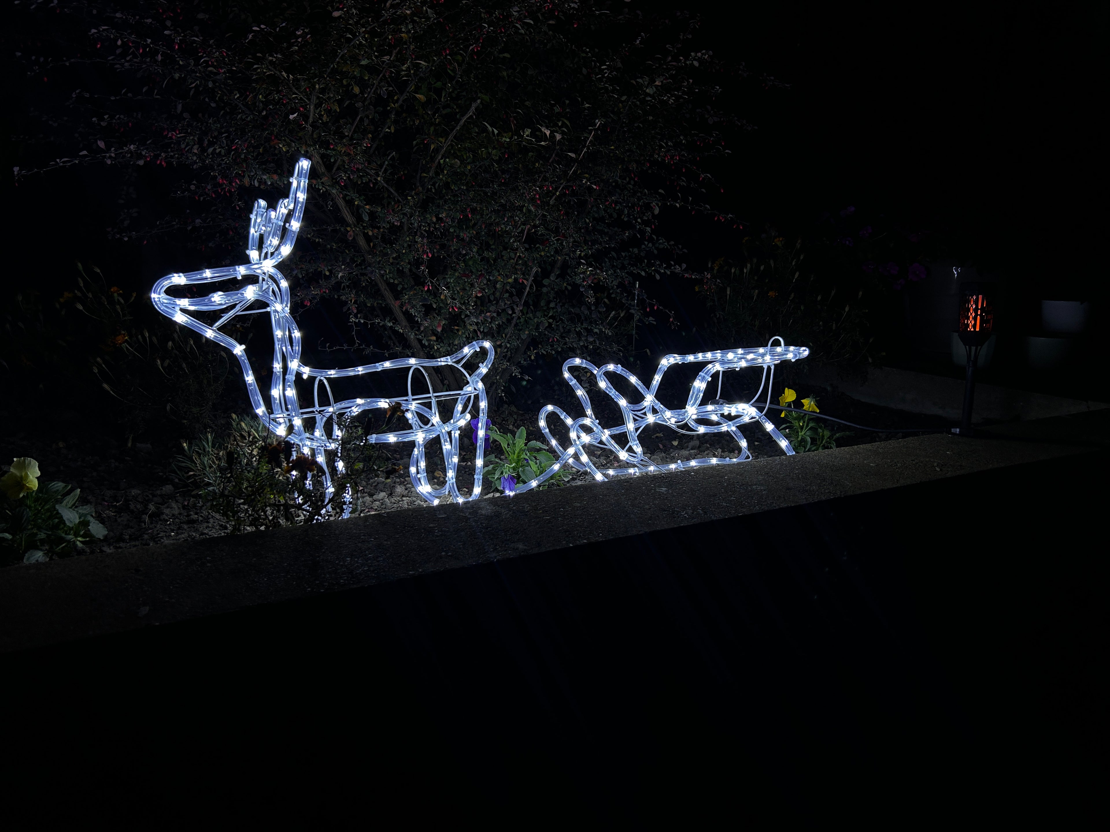 Novogodišnji irvas sa sankama