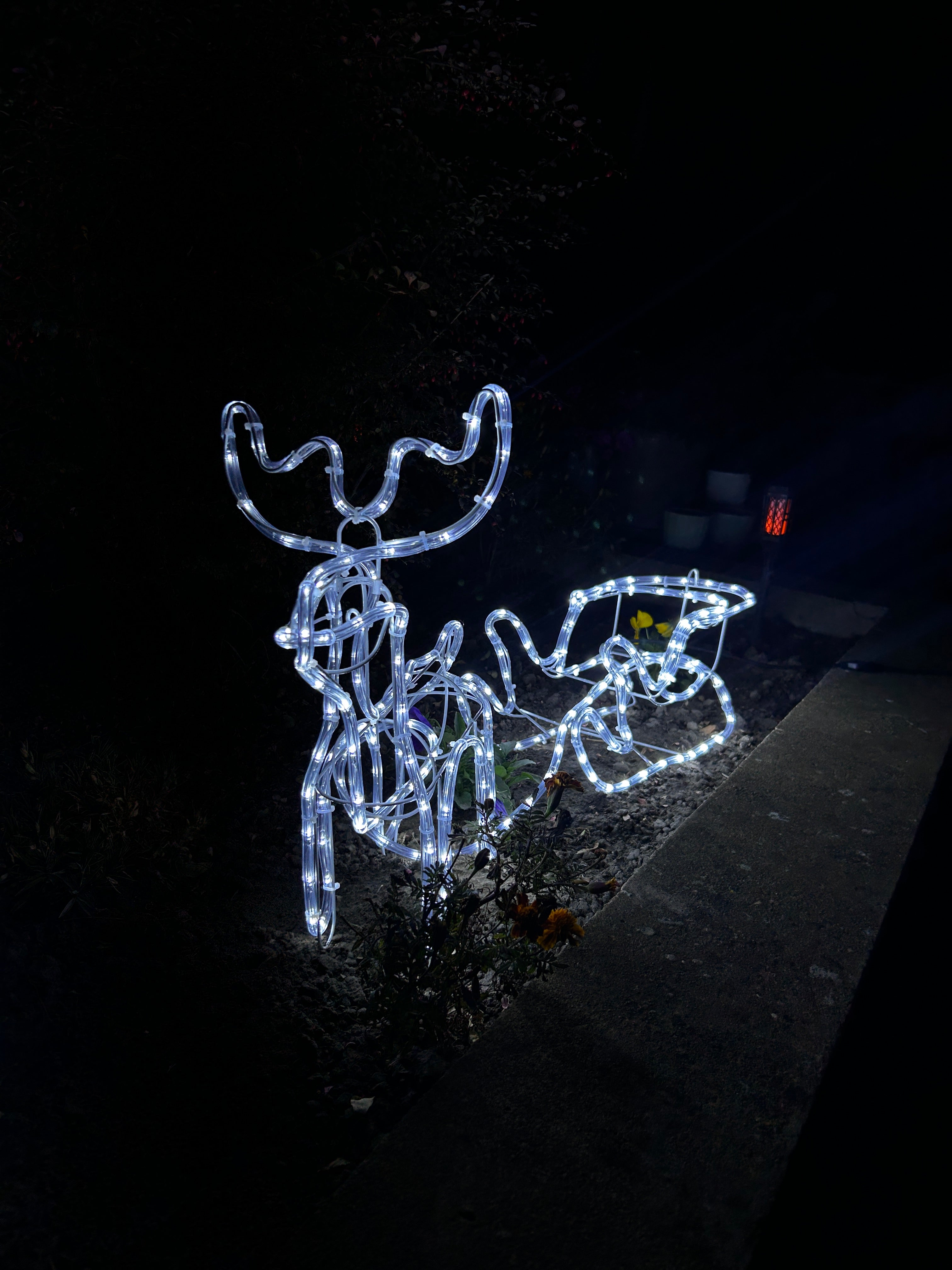 Novogodišnji irvas sa sankama