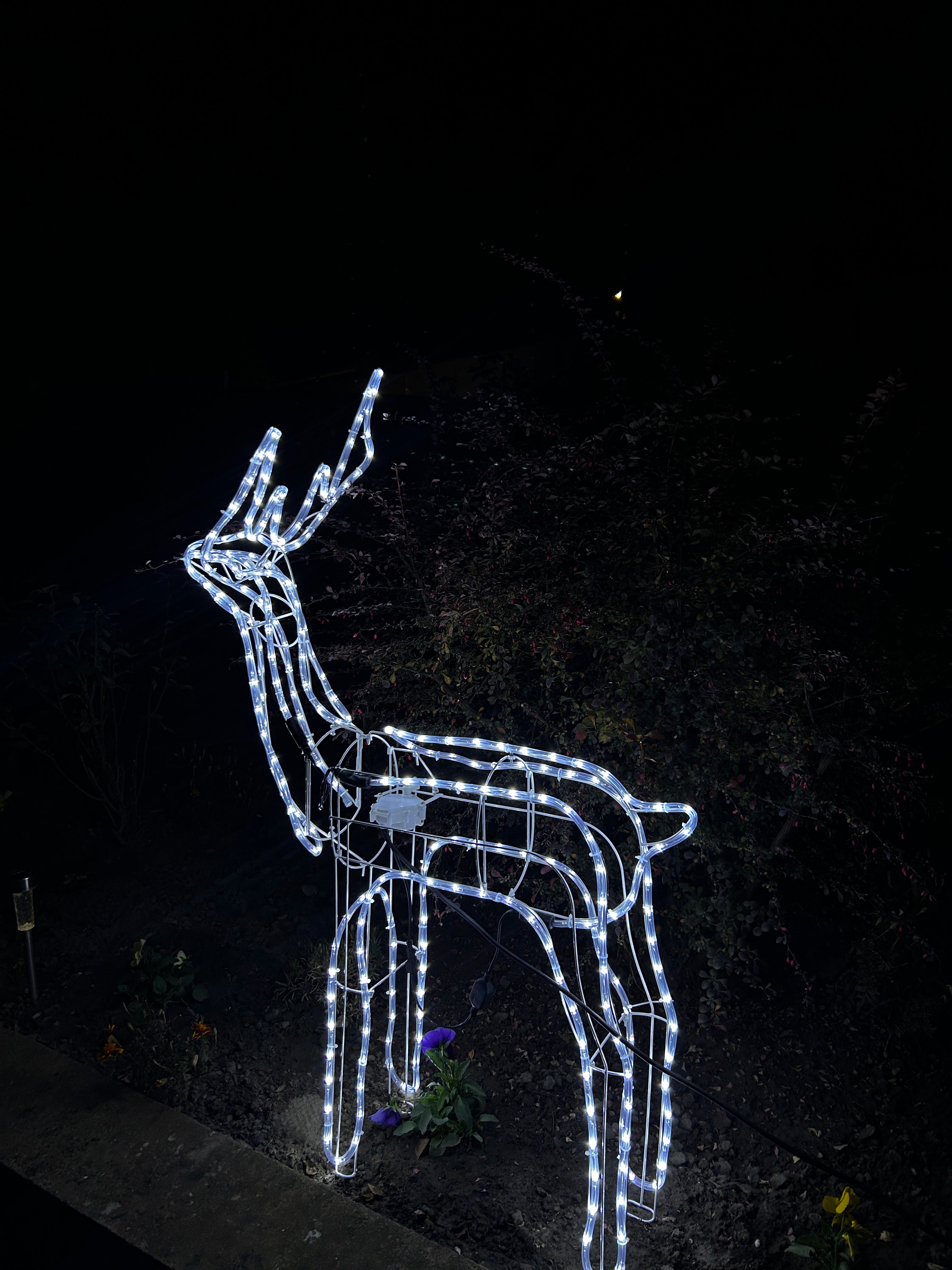 Novogodišnji irvas - 110cm